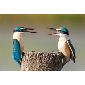 Messages of Hope Greeting Cards - Set 1 - Image 5