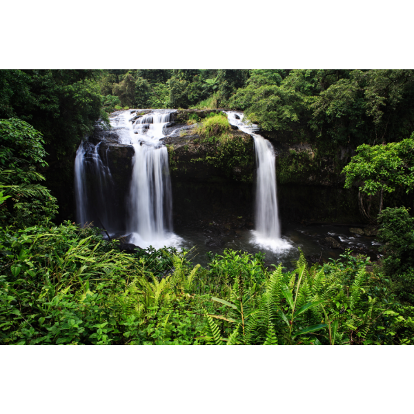 Messages of Hope Greeting Cards - Set 1