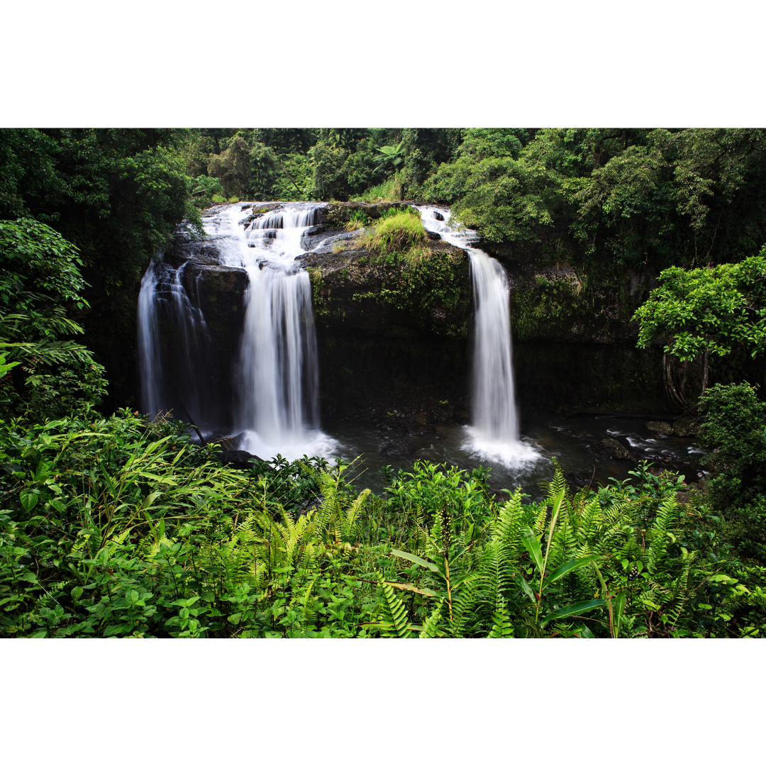 Messages of Hope Greeting Cards - Set 1 - Image 6