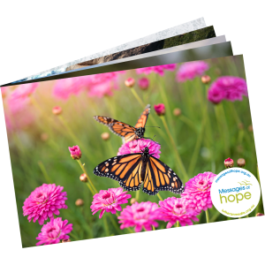 Messages of Hope Greeting Cards - Set 2