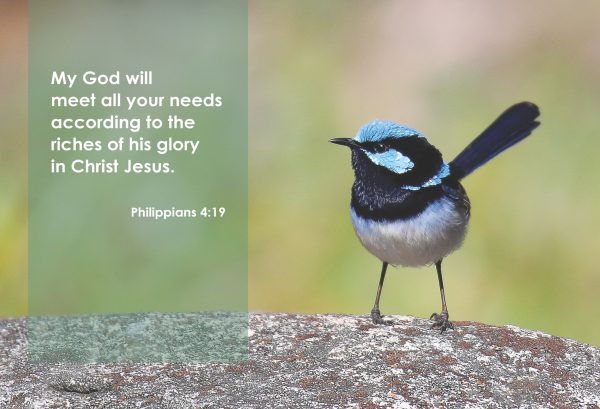 2026 Scripture Calendar