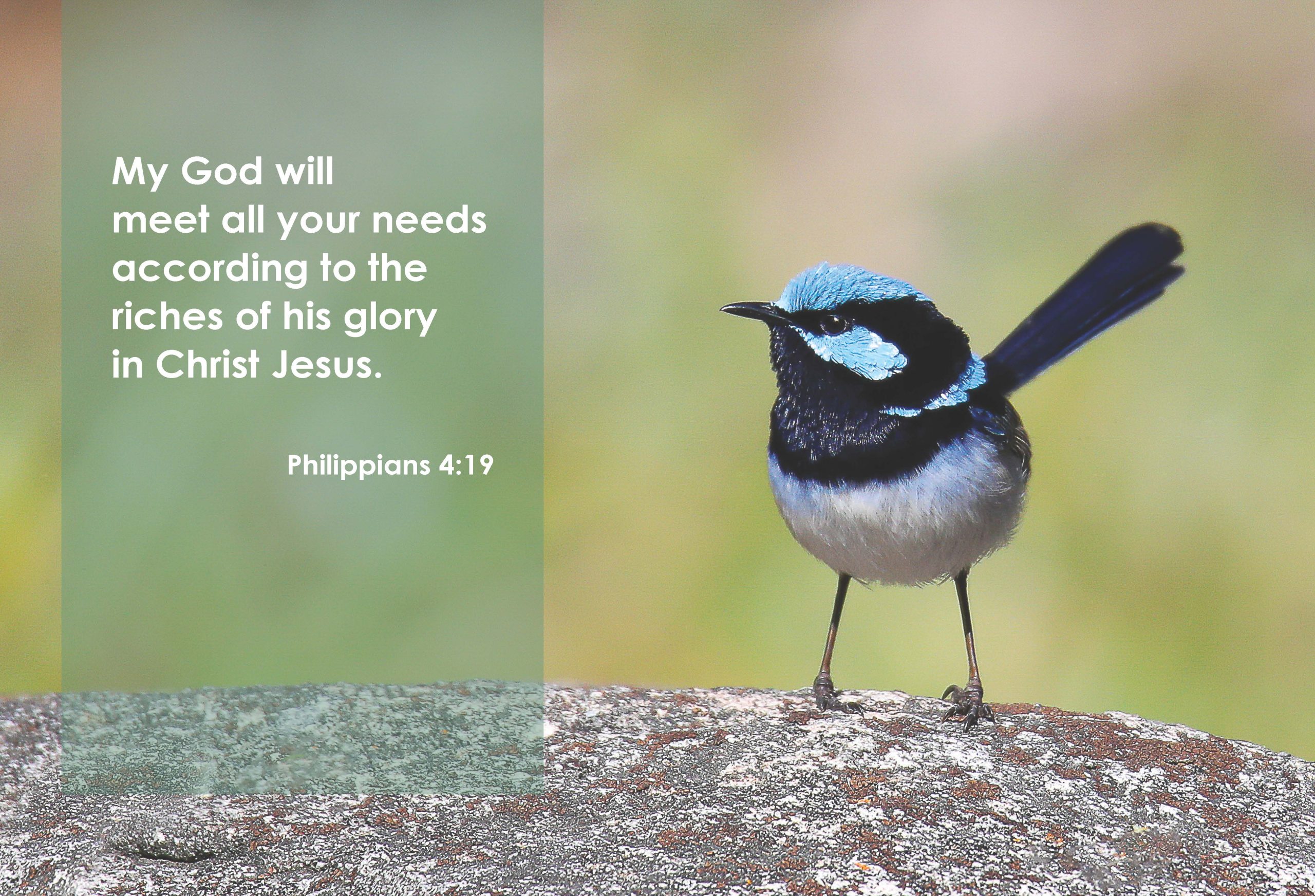 2026 Scripture Calendar - Image 2